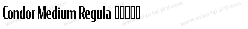 Condor Medium Regula字体转换